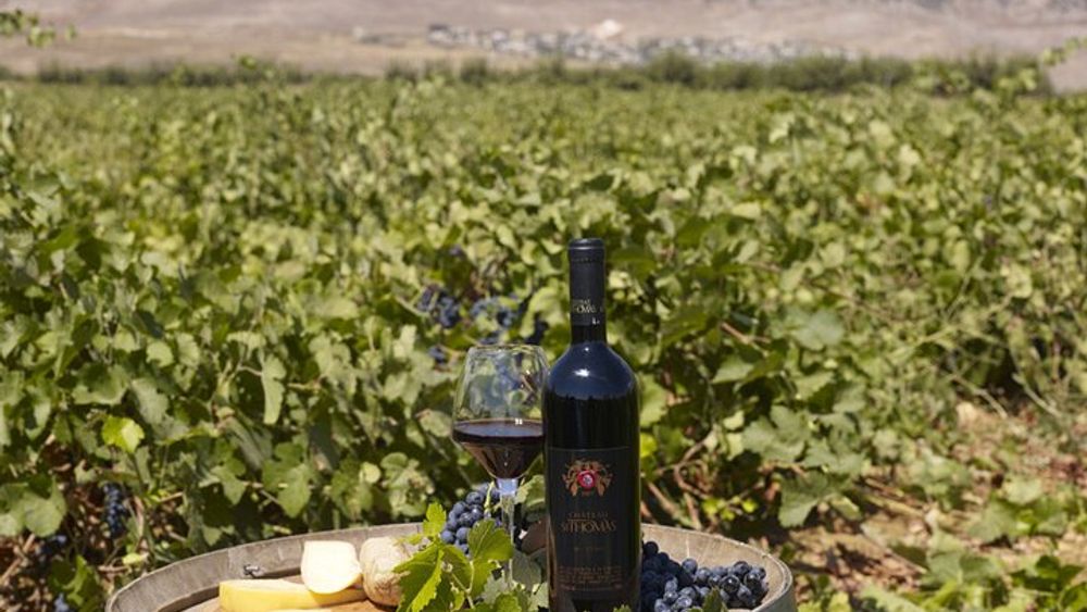 Private Wine Tasting Day Tour from Beirut