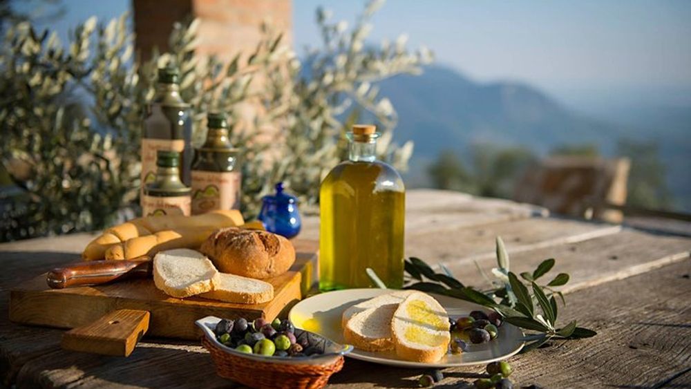 Olive Oil & Wine in the Euganean Hills