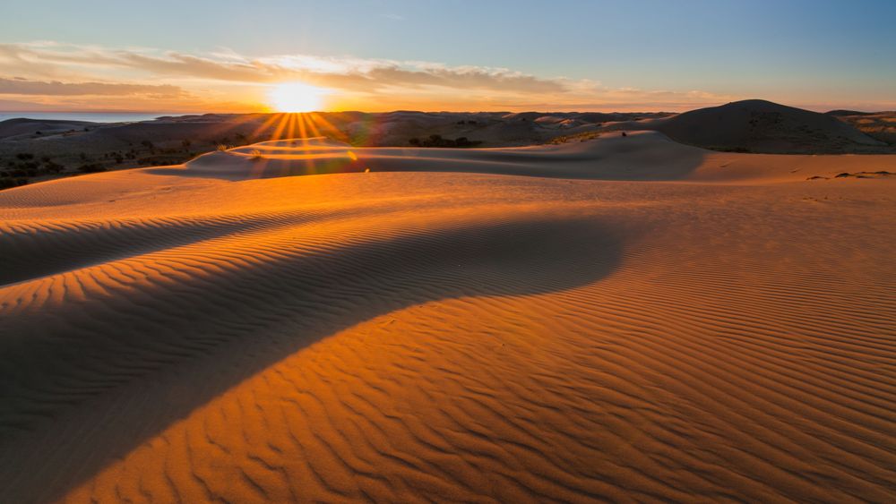 Dubai Sharing Desert Safari With BBQ dinner