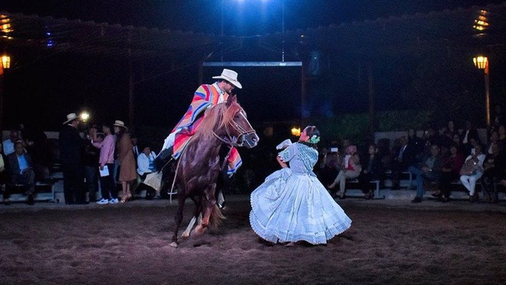 Dinner Show: Pride, Passion and Magic Featuring the Peruvian Paso Horse