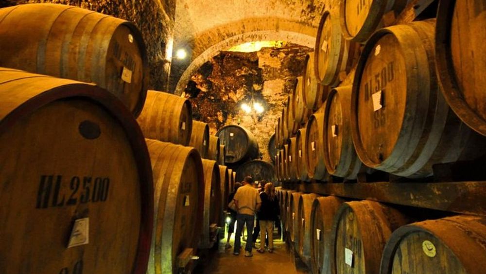 From Florence: Wine Tasting Tour - Private VIP Brunello, Rosso e Nobile and Val d'Orcia