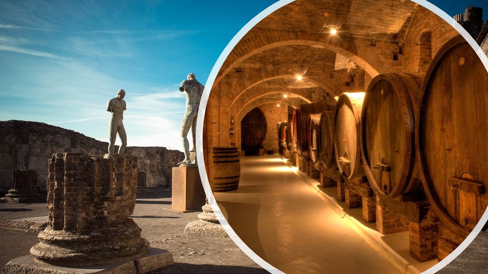 DAILY EXCURSION TO POMPEII & WINE EXPERIENCE from Naples