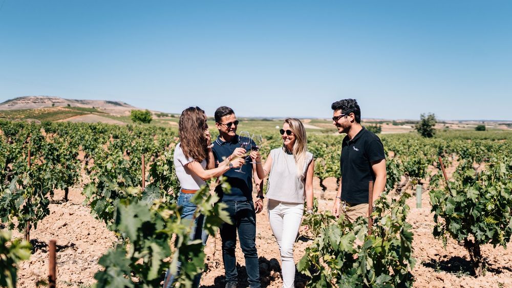 Barcelona: Premium Winery Day Tour - Two of the Best Ribera del Duero's Wineries