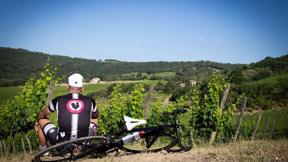 Classic Chianti Wine Region Bike Tour