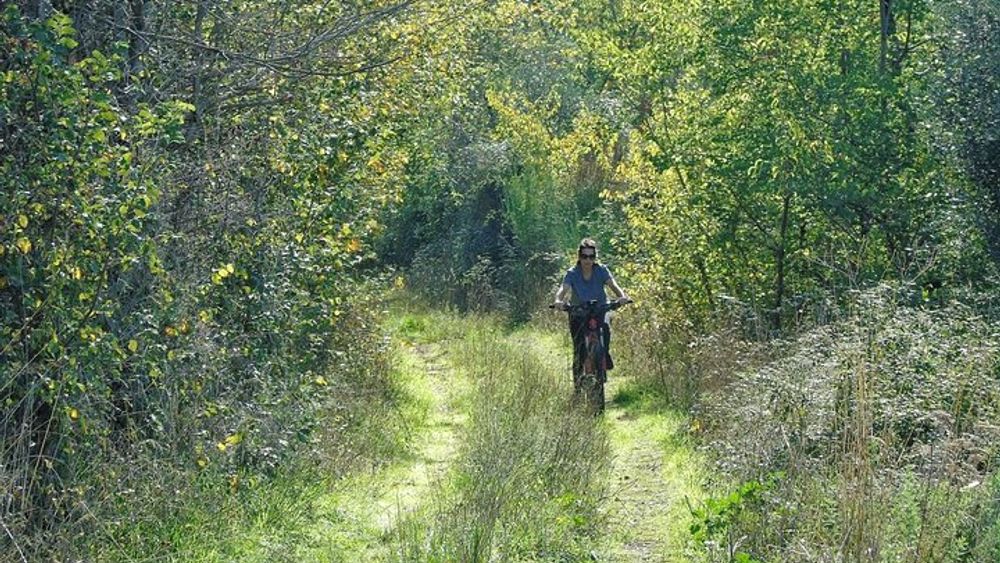 Frascati: Grottaferrata and Forest Tour with Wine Experience by e-Bike