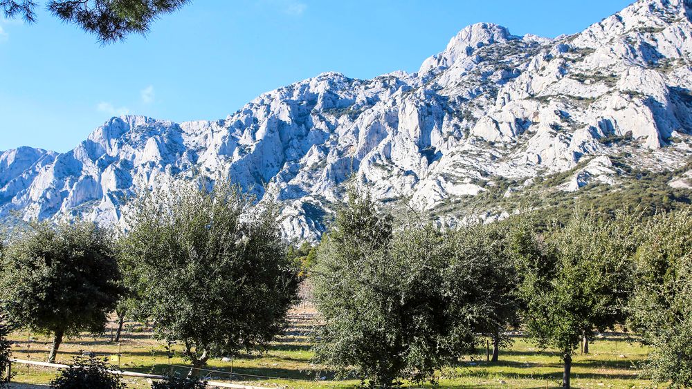 From Marseille: Provence - Mont Sainte Victoire and Cézanne Private Wine Tour