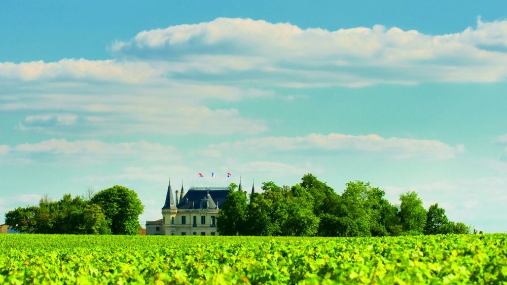 From Bordeaux: A Private Shore Excursion Half Day Medoc Wine Tour