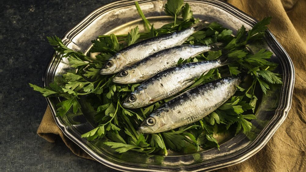 Lagoa: Sardines Under a Starry Sky