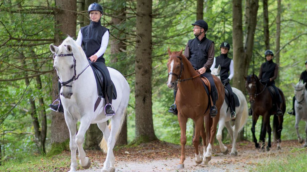 From Lyon: Corporate Team Building - Horse Riding (with Wine Tasting)