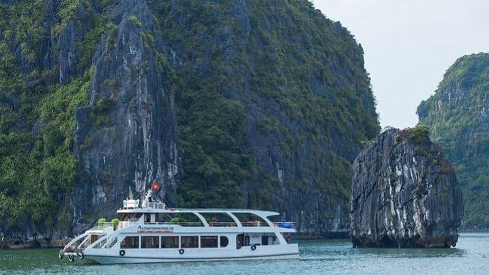 Alova Premium Cruise Halong Deluxe Day Tour with Transfer & Meal