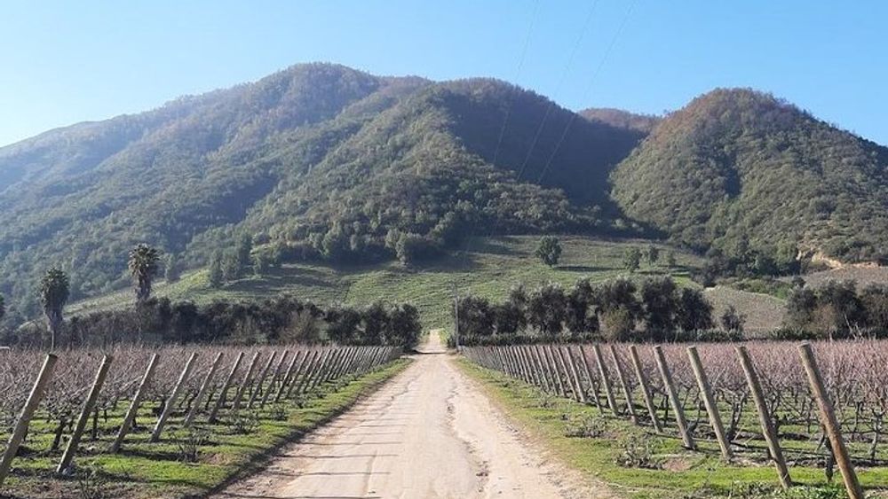 Private Colchagua Valley wine tour all inclusive from Santiago