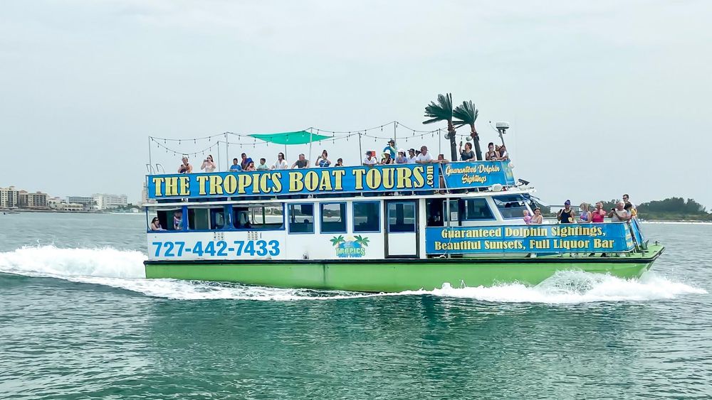 The Dolphin Encounter Boat Ride plus Lunch