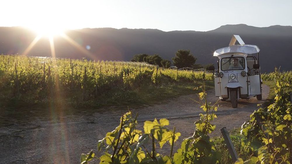 Geneva Panoramic & Tasting Vineyards Tour in an electric Tuk Tuk