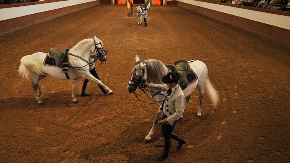 Jerez & Cadiz Winery with Tasting & Opt Horse Show from Seville