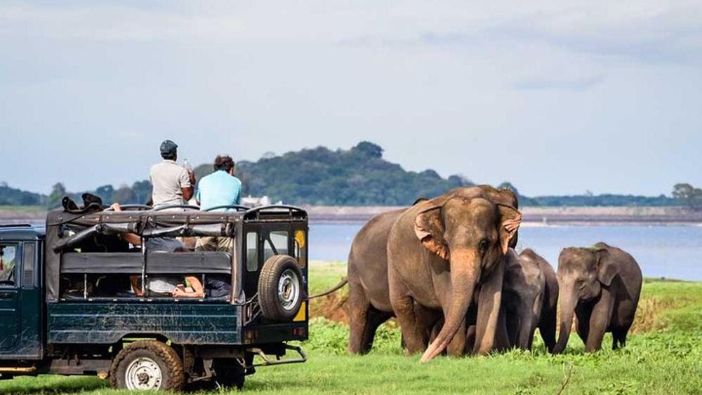 Private Jeep Safari To one of a Best National Park