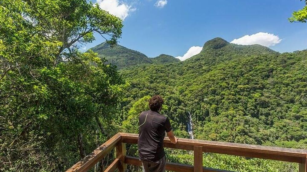 Private 6-hour Hiking Tour in the Tijuca Forest: Waterfalls, Viewpoints & Picnic
