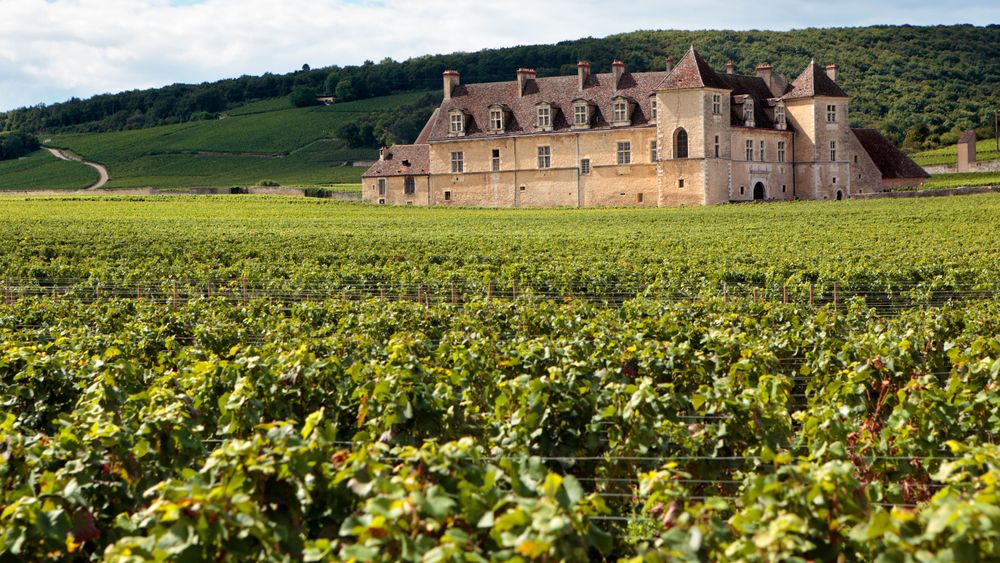 Provence: Bespoke Corporate or Team Building Event with Wine Tasting at a Chateaux