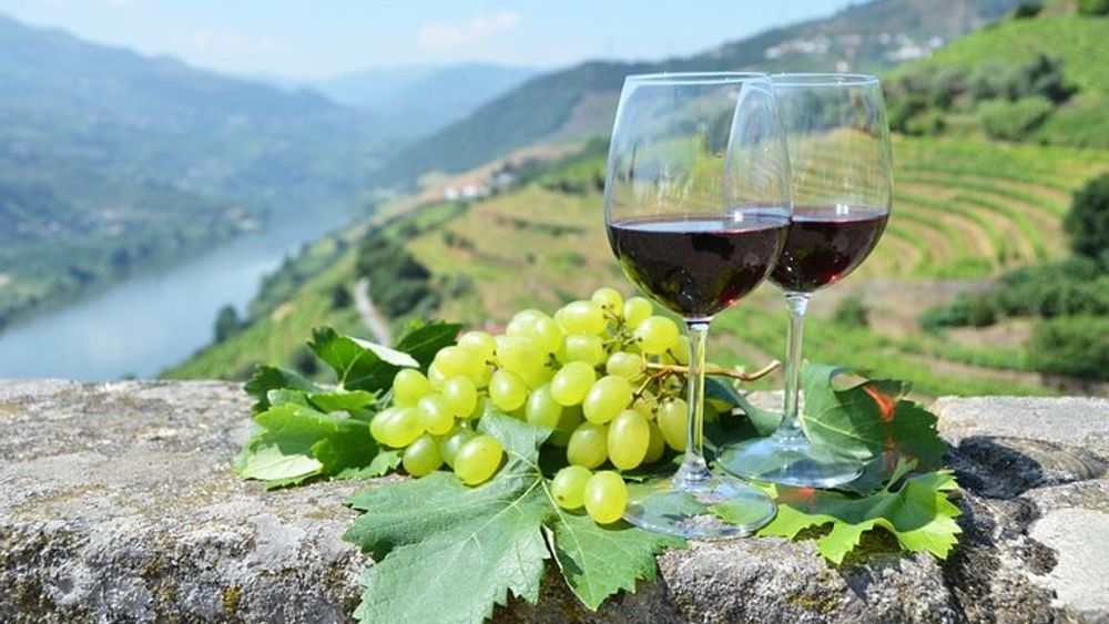 From Porto: Private Full Day Douro Valley Wine Tour (with Lunch and River Cruise Included)