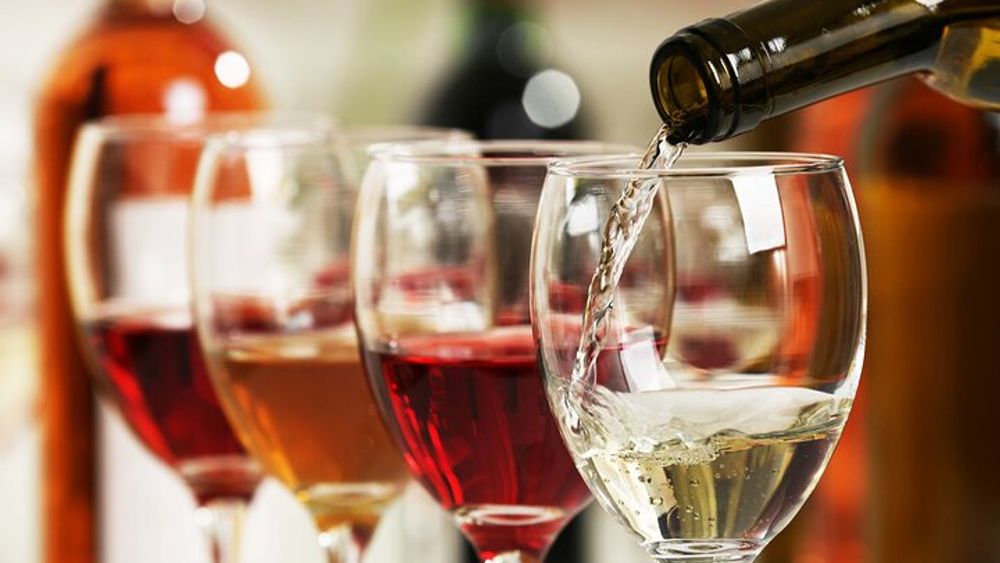 Agia Pelagia: Private Wine Tasting