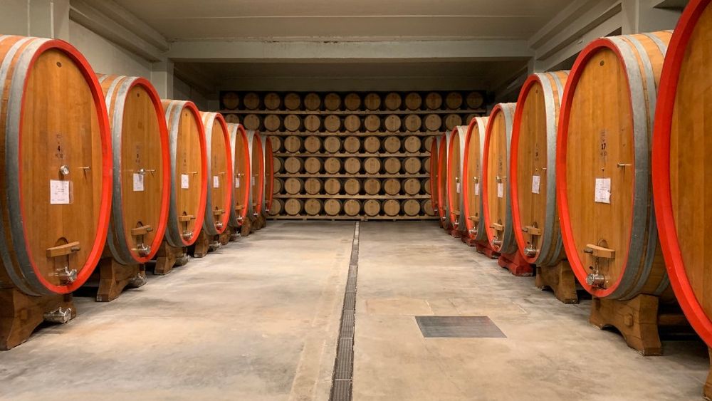 Irpinia: Wine tasting and guided tour