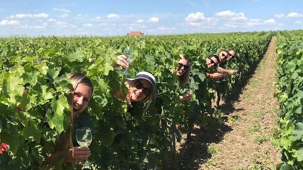 From Bordeaux: Saint-Emilion Wine Region Morning Tour (with Tasting Session)