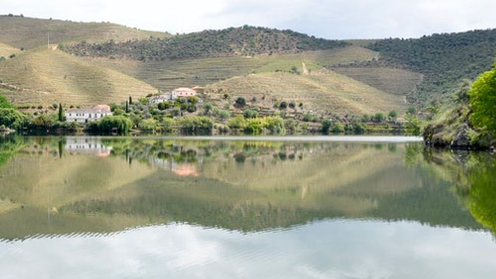 Douro Valley: Downstream Cruise from Régua to Porto with Lunch