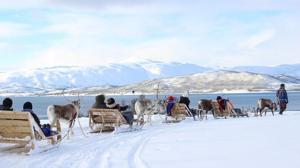 Reindeer Feeding, Sami Culture, and Sled Ride from Tromso