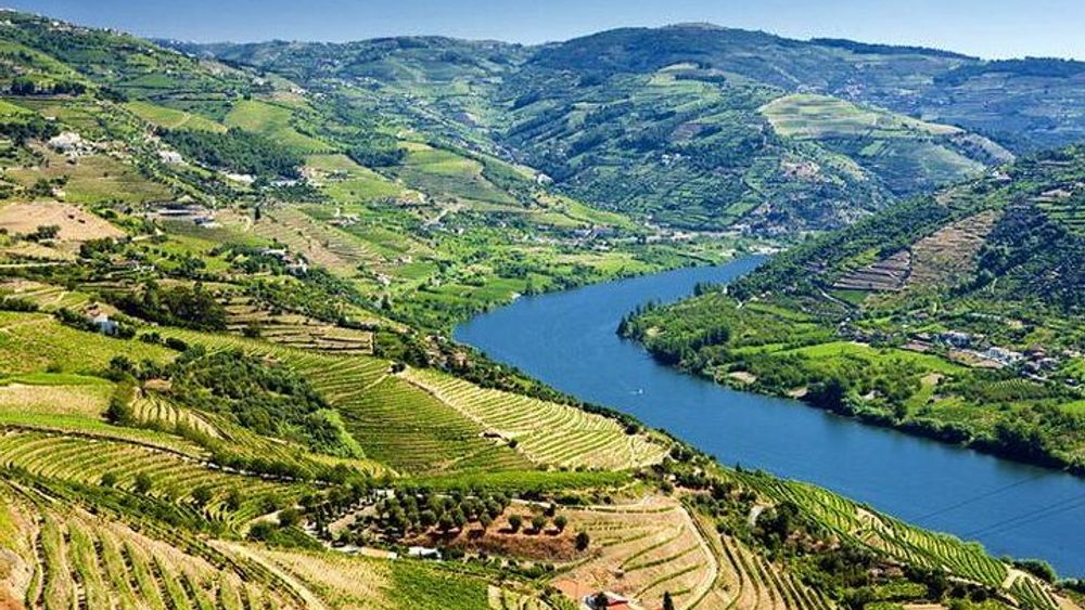 From Porto: Full Day Douro Valley Wine Tour with Lunch Tastings and River Cruise
