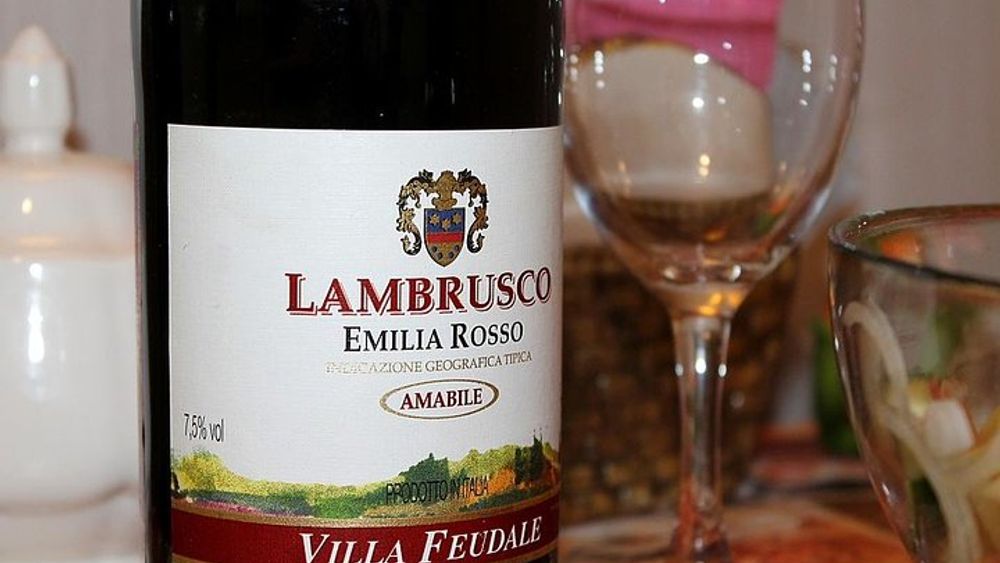 Parma: Lambrusco Making Winery Tour