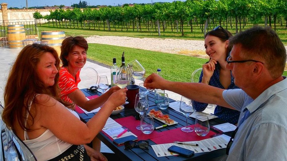 Da Venezia: Wine Tour sui Colli Euganei