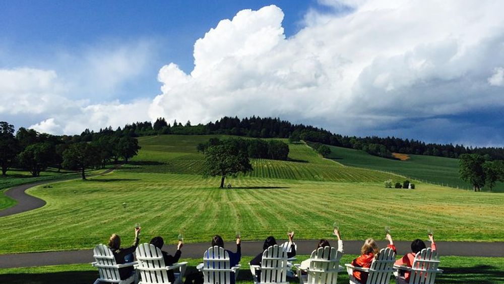 Private Willamette Valley Wine Tour from Portland (All tasting fees included)