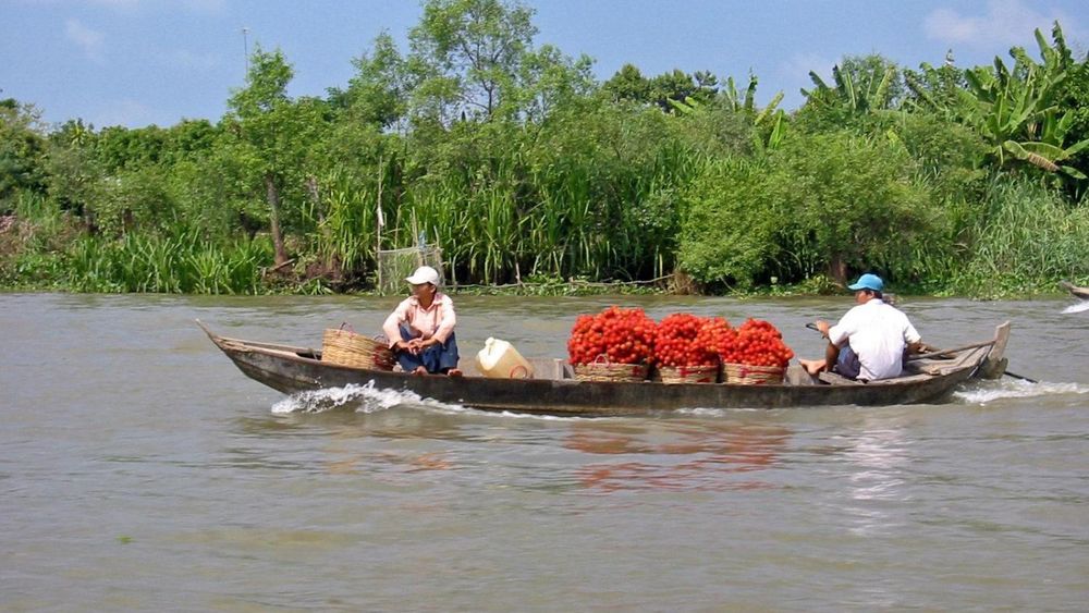 Mekong Delta Day Trip with Cooking Demonstration and Cai Be Floating Market Tour