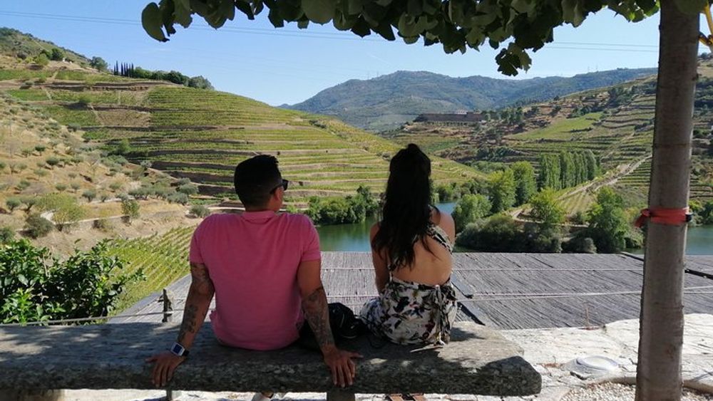 From Porto: Douro Valley Day Tour of 2 Small Wineries (with 1 hour Boat Cruise & Lunch Included)