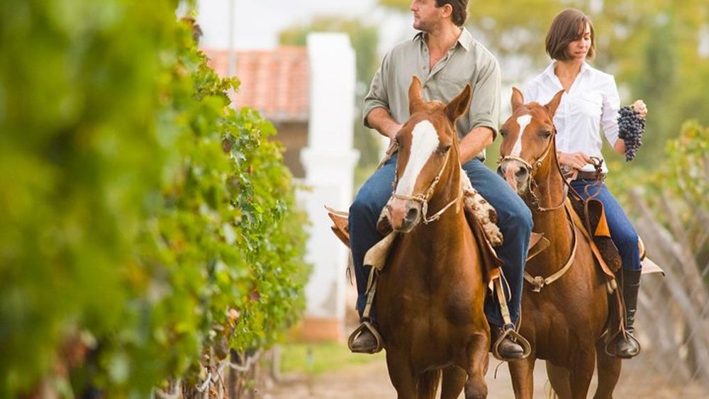 From Florence: Horseback Riding Adventure with lunch in a Winery of San Gimignano