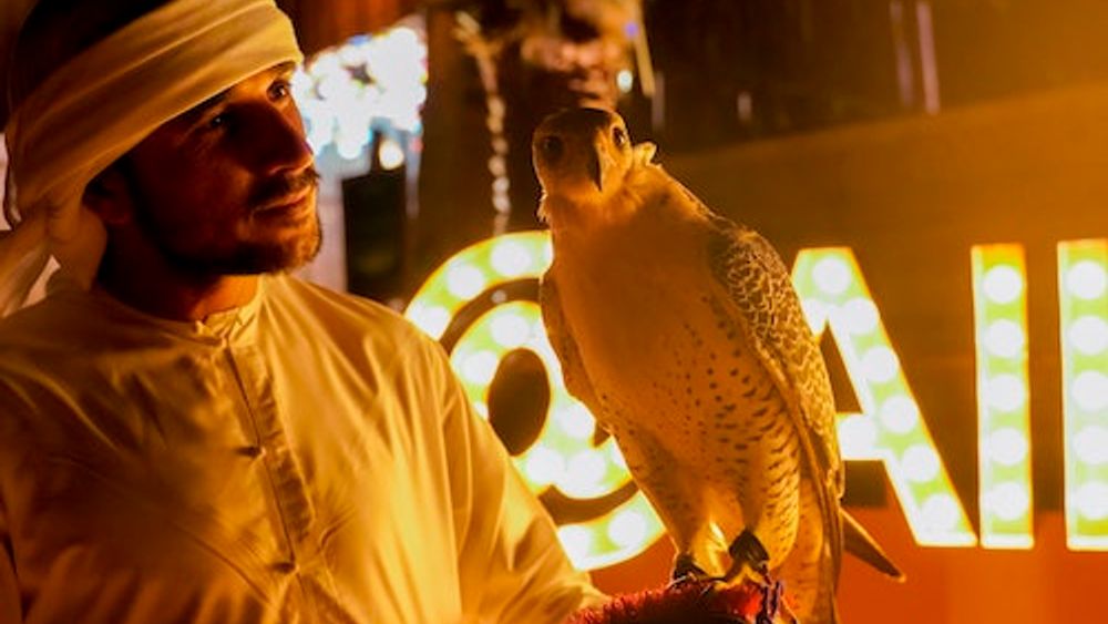 Dubai: Premium Desert Safari with Sandboarding, Falconry, Camel Ride and BBQ Dinner