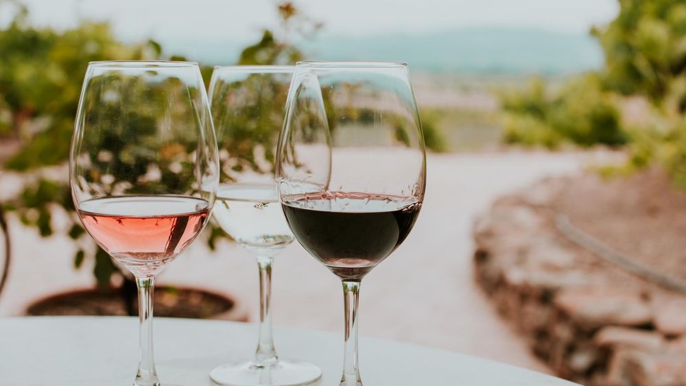 Siena in 3 Wines: Exclusive Wine Tasting with an Expert & Food Pairing