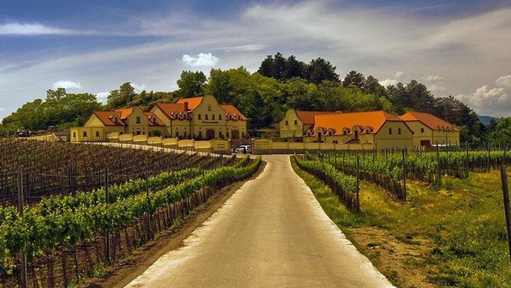 2day private tour of wine region in Czech Republic and Bratislava from Vienna