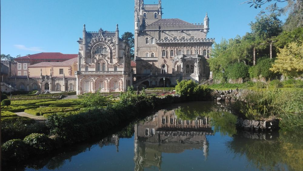 Tour from Coimbra to Bairrada Vineyards and Bussaco forest
