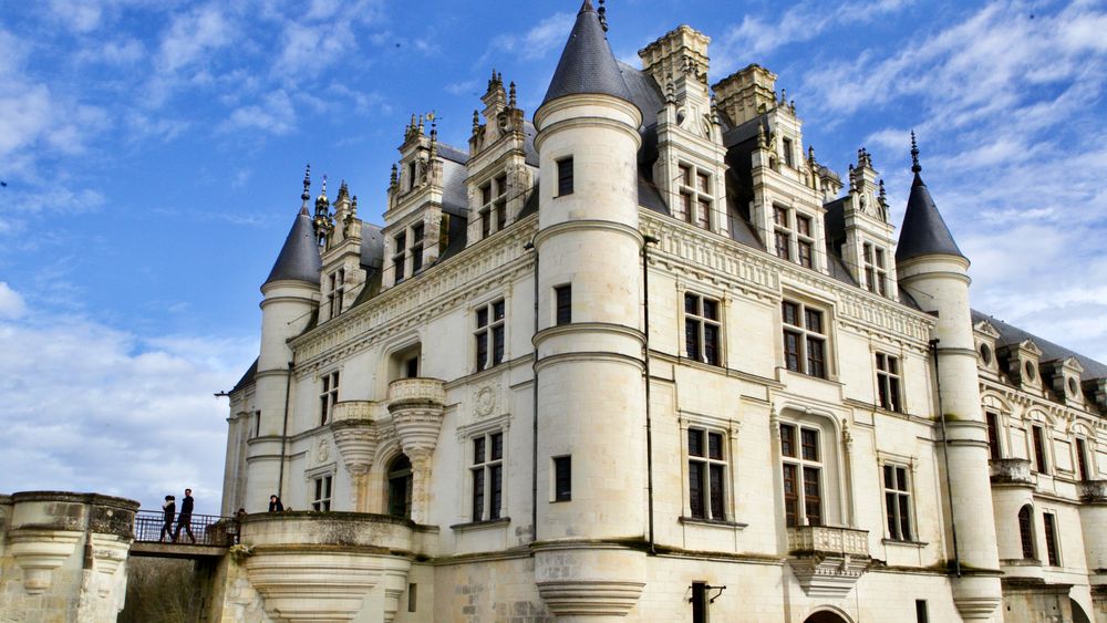 From Paris - 3 Loire Castles Live Guided Small Group Wine Tour