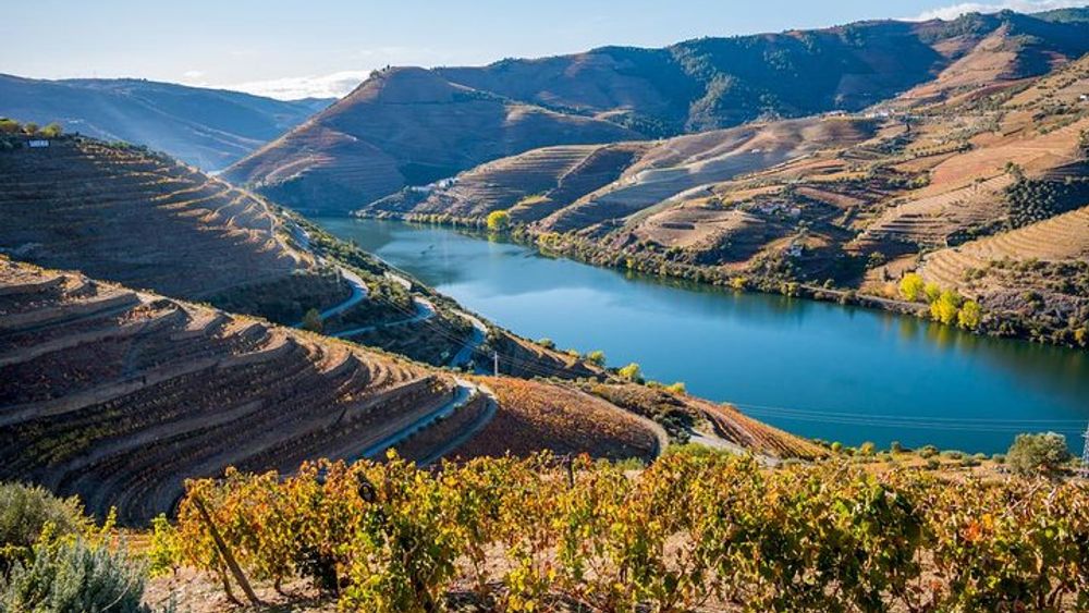 From Porto: All Inclusive Douro Valley Private Wine Tour (with Lunch)