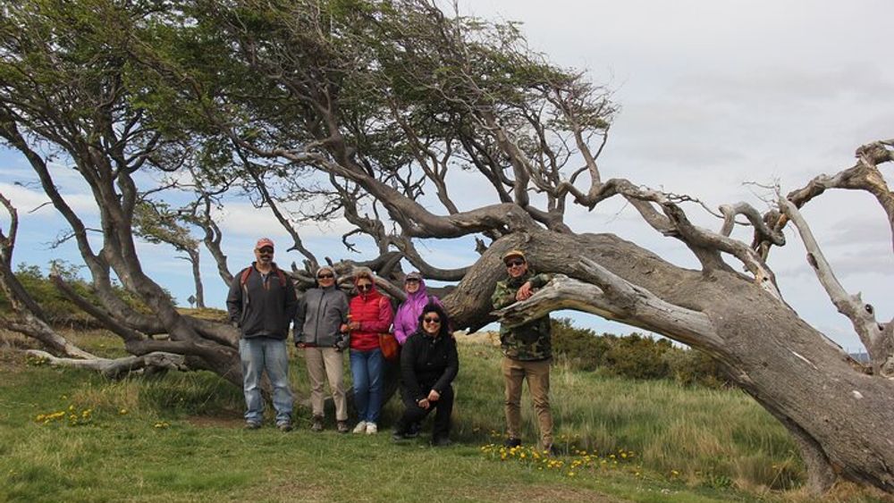 Crab Route through Tierra del Fuego from Ushuaia