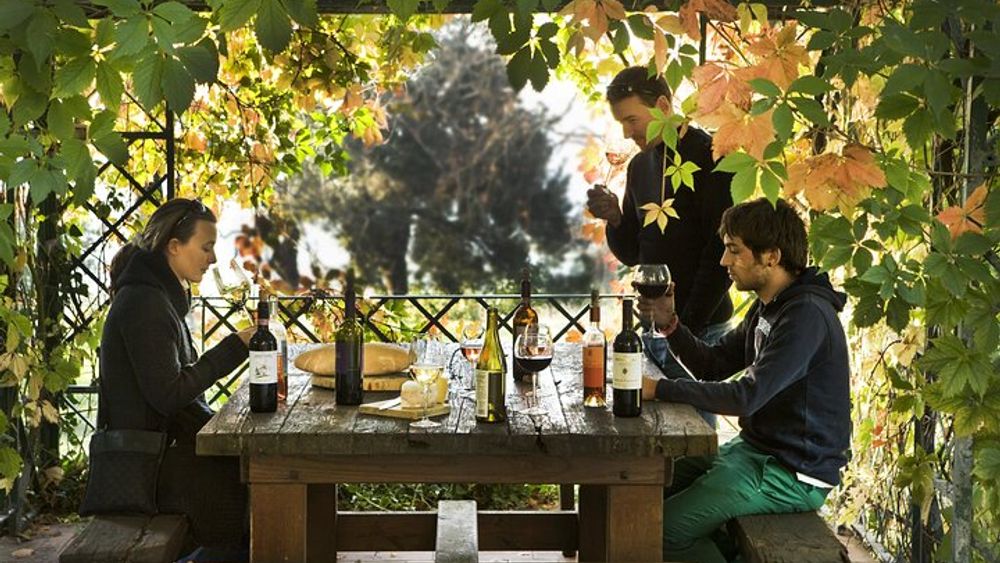 From Florence: Chianti Rufina Private Half Day Tour with Lunch and Wine Tasting