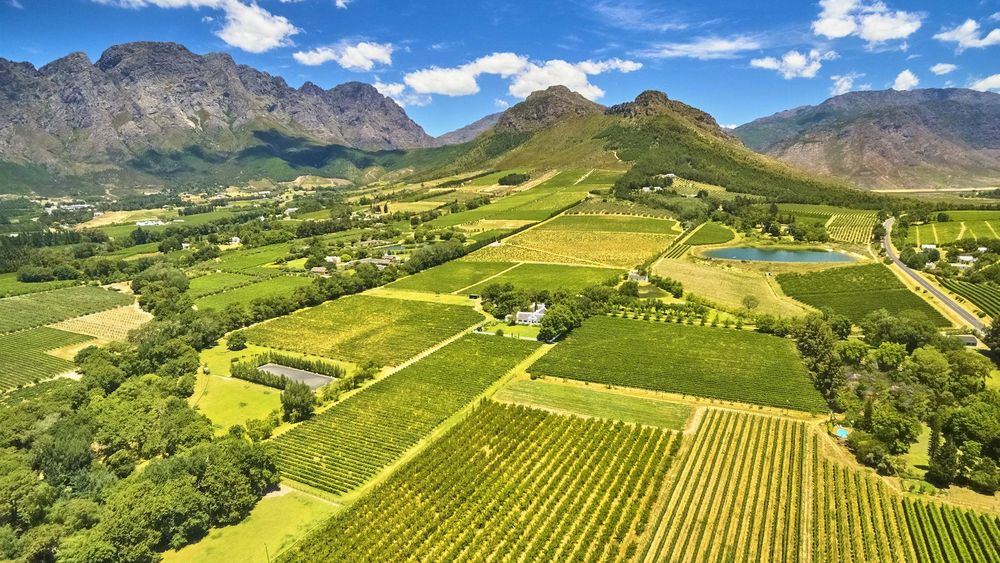 From Cape Town: Full Day Winelands Tour (Visiting up to 5 Wine Estates)