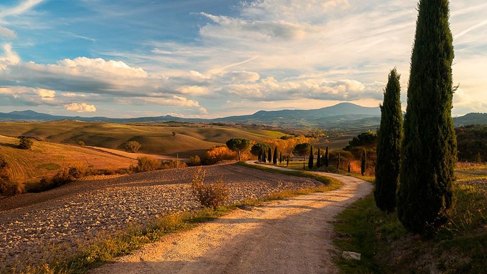 Private Tour - A Day in the Enchanting Val D'Orcia with Wine Tasting