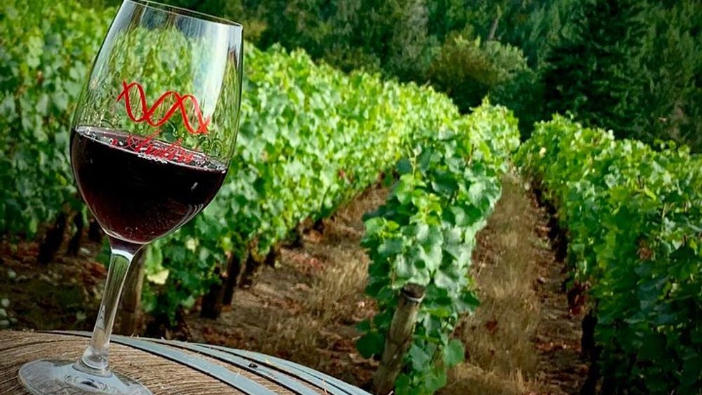 Willamette Valley Wine Tour from Portland (Tasting Fees Included)