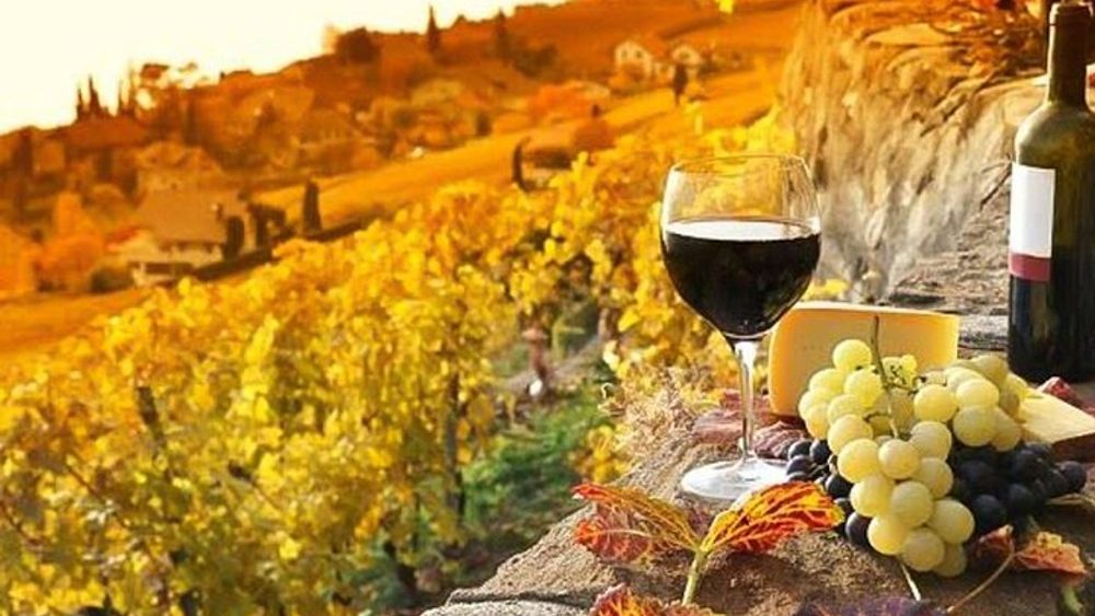 From Florence: Chianti Private Tour with Dinner and Wine Tasting Experience