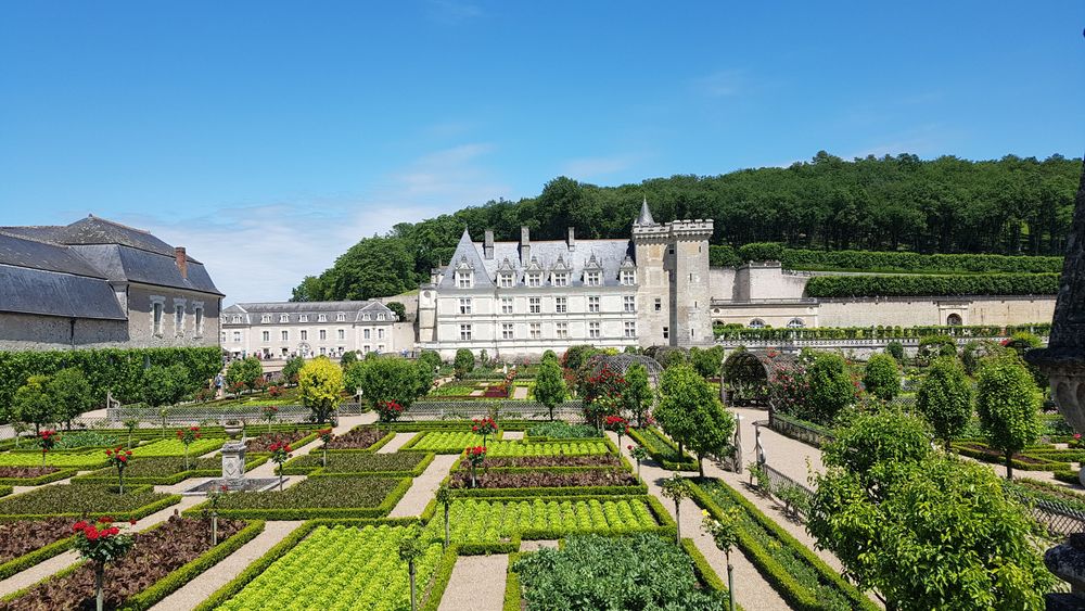 Loire Valley: Day Tour from Tours to Villandry, Azay-le-Rideau & Local Winery