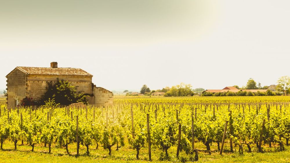 From Bordeaux: A Private Bordeaux Wine Tour Shore Excursion to Saint Emilion