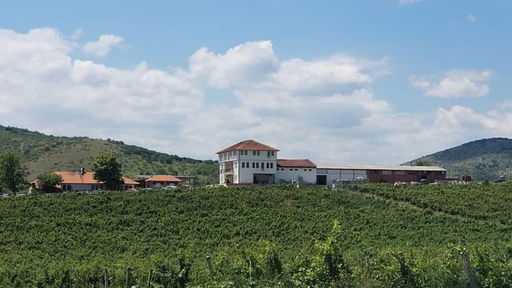 Private Wine Tour of Chateau Sopot Winery from Skopje