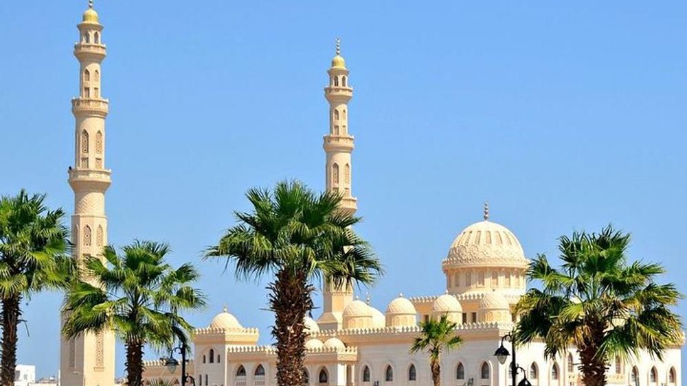 VIP City Tour With Sea Food Lunch Big Mosque & Coptic Cathedra - Hurghada